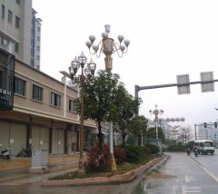 中華燈系列